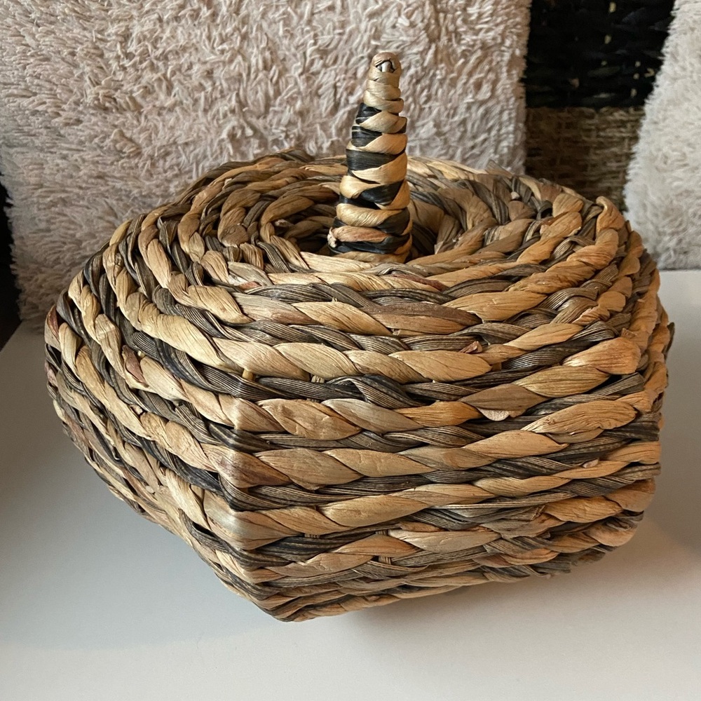 NWT Seagrass Handcrafted Luminary Pumpkins